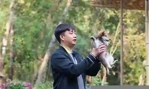 大家好，今天我想和大家探讨一下“黄磊教你搭配阵容”的应用场景。为了让大家更好地理解这个问题，我将相关资料进行了分类，现在就让我们一起来探讨吧。