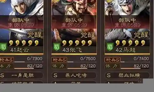 疾风赵云搭配阵容的今日更新是一个不断变化的过程，它涉及到许多方面。今天，我将与大家分享关于疾风赵云搭配阵容的最新动态，希望我的介绍能为有需要的朋友提供一些帮助。