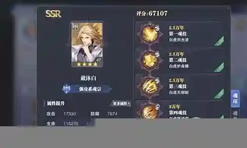 大家好，今天我想和大家聊一聊关于“戴沐白阵容搭配玩法”的话题。为了让大家更好地理解这个问题，我将相关资料进行了梳理，现在就让我们一起来交流吧。