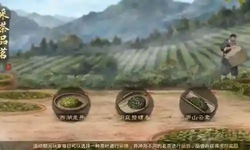 率土之滨采茶品茗最新阵容