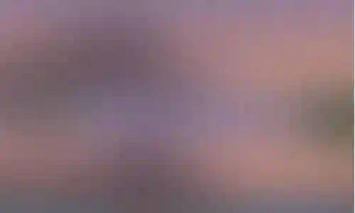 7.15兽王猎人宠物技能