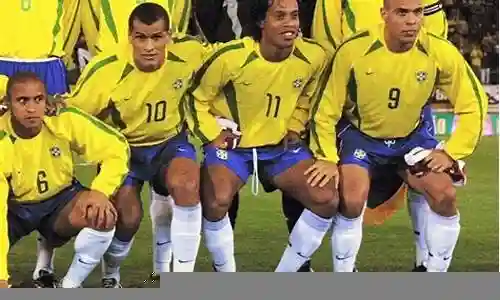 2002年巴西阵容图