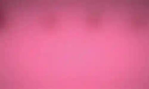 世界盒子群系阵容插图