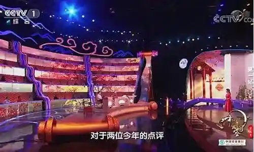 中国诗词大会老师阵容介绍