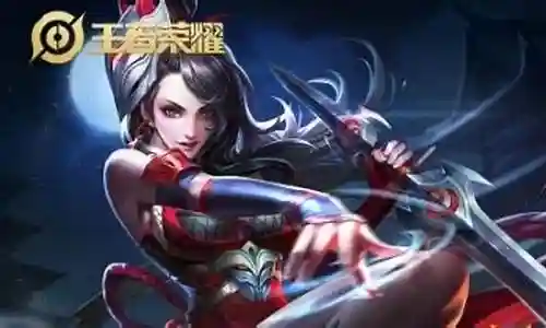 阿轲搭配什么阵容五排