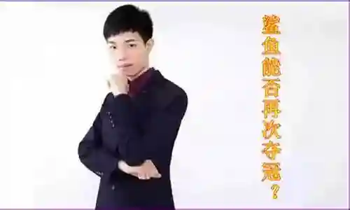 哈兰搭配什么阵容最好玩