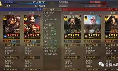 关银屏乐进左慈阵容搭配