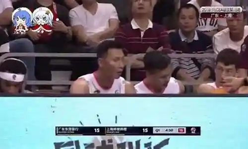 201819赛季最佳阵容插图