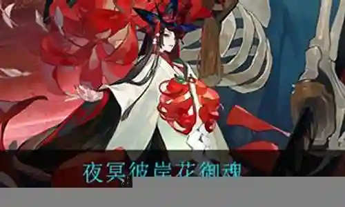 夜冥彼岸花阵容搭配