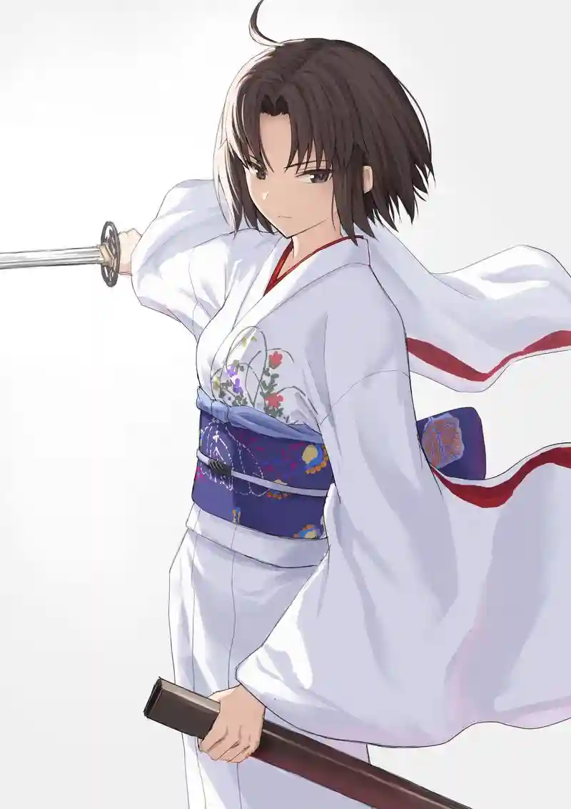 fgo剑两仪式技能插图
