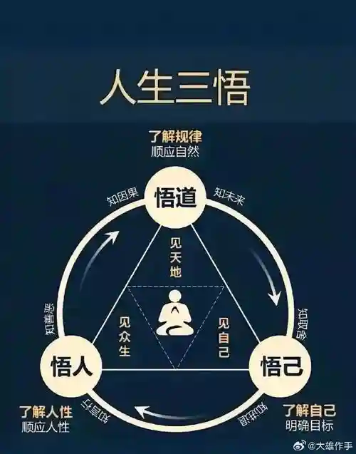 悟道阵容