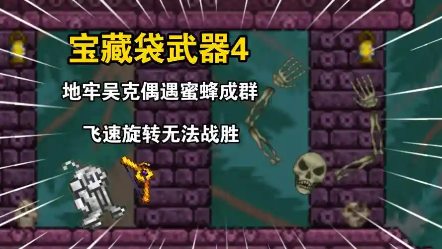 泰拉瑞亚宝藏袋武器