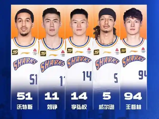 2017鲨鱼阵容插图1