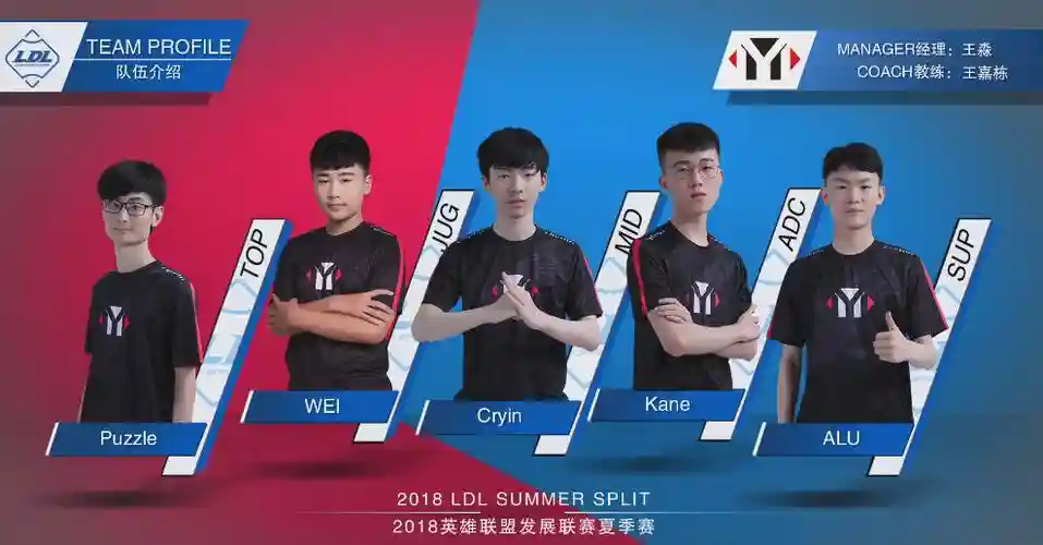 ym以前阵容插图
