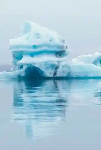 海翼阵容