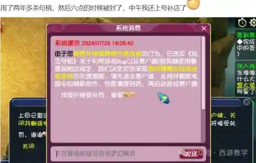 梦幻西游被系统警告插图