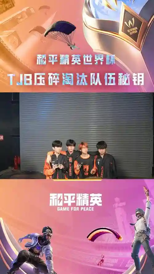 精英天才阵容