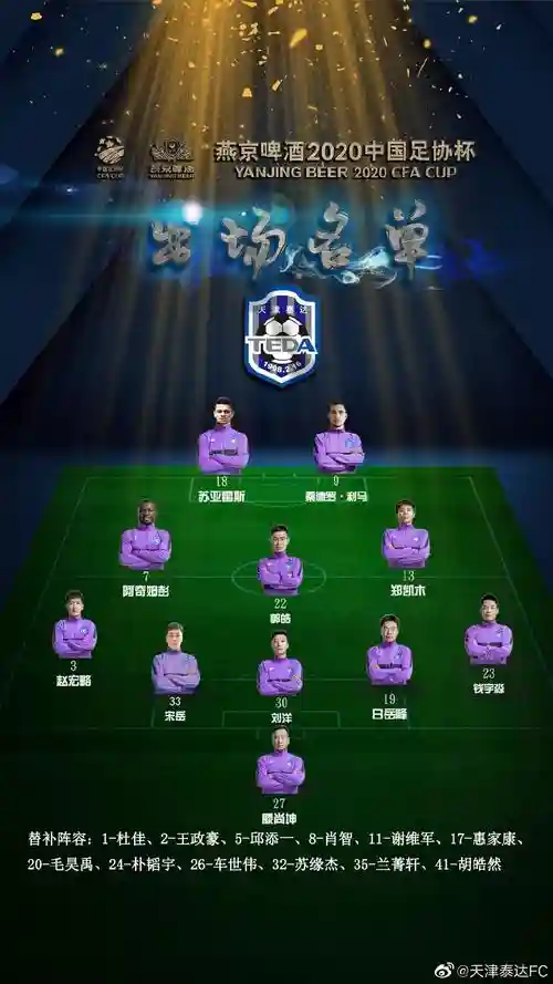 泰达阵容2017插图1