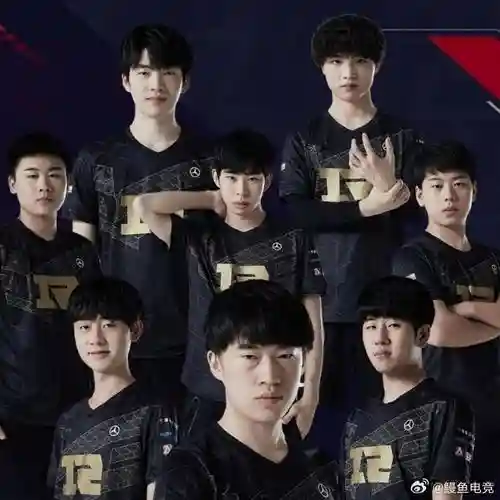 rng现已阵容