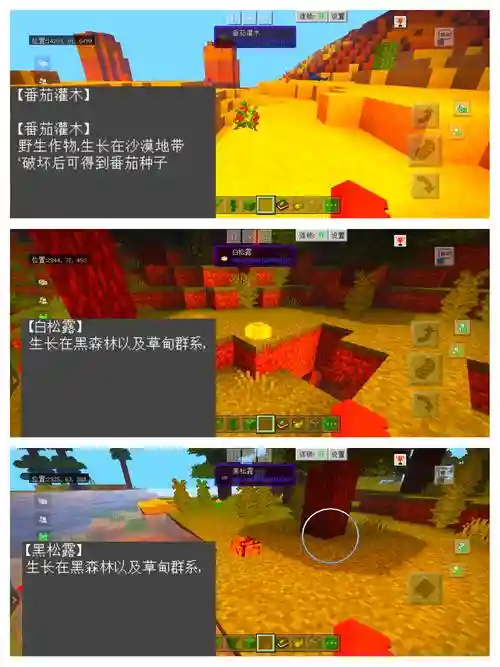 我的世界农场攻略插图
