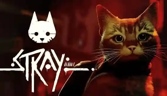 迷失的猫咪旅程攻略第六关