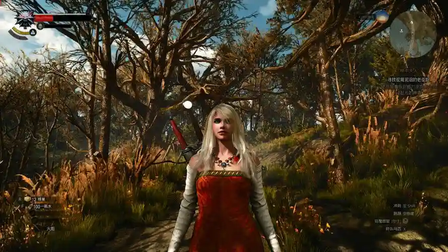 巫师3年度版技能mod插图1