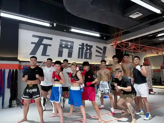 格斗职业阵容插图1
