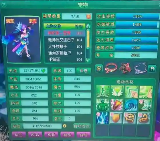 神武2宠物雪舞技能插图
