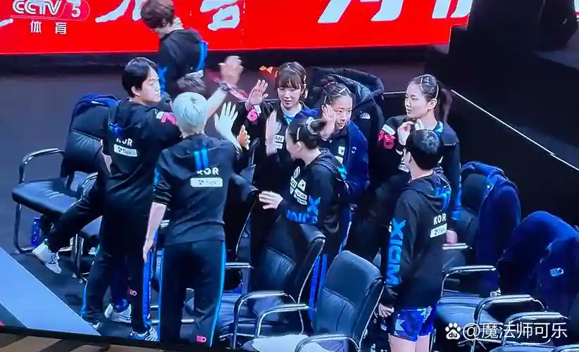 wbc韩国阵容_1插图