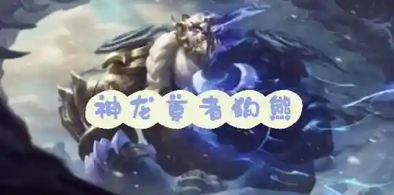 狗熊阵容变形_1