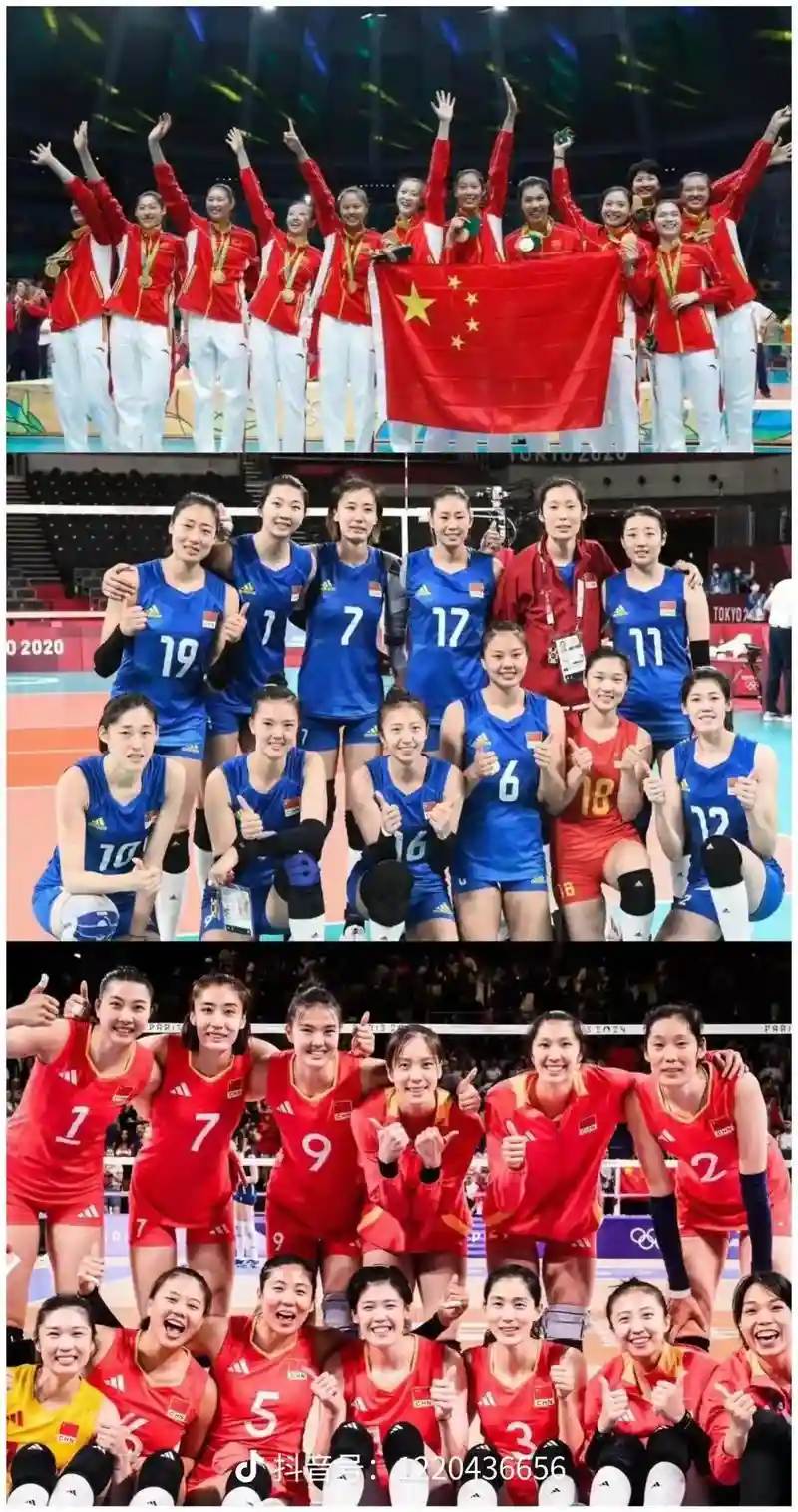 国内女排阵容