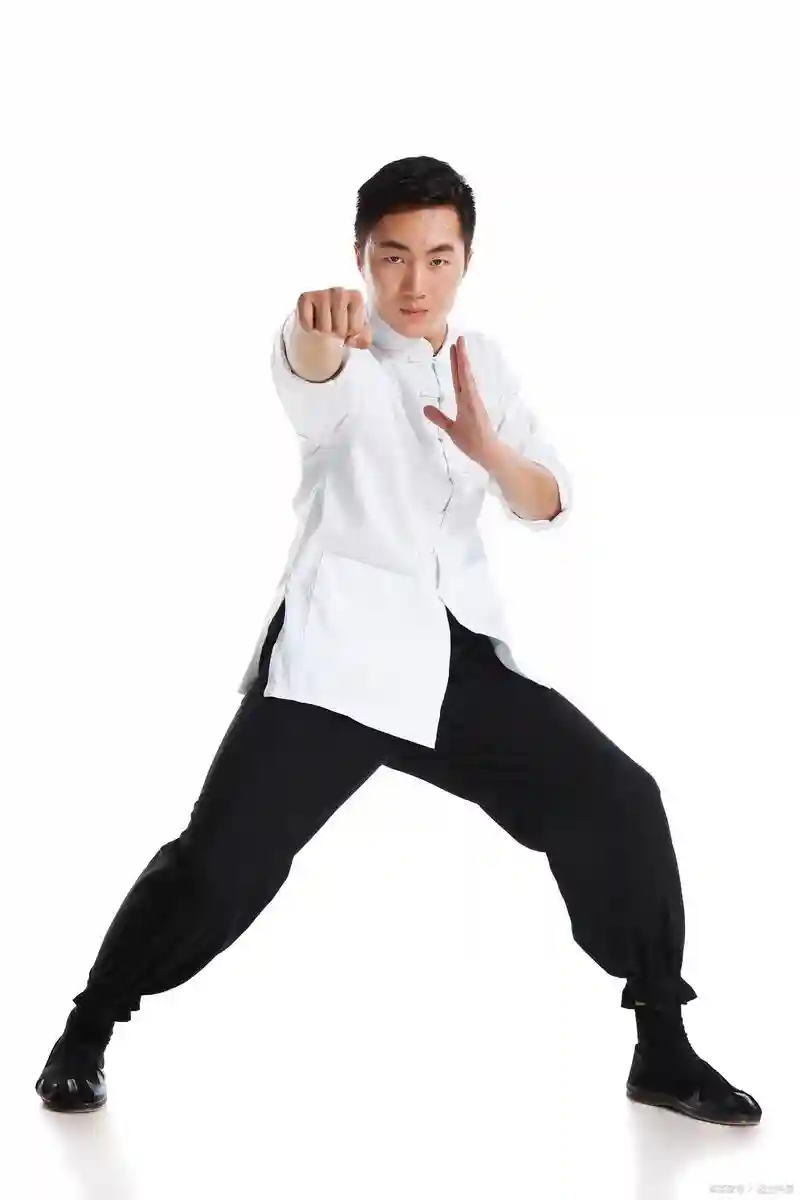 武大师技能插图