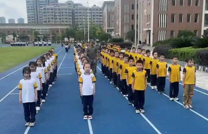 阵容训练年级_1