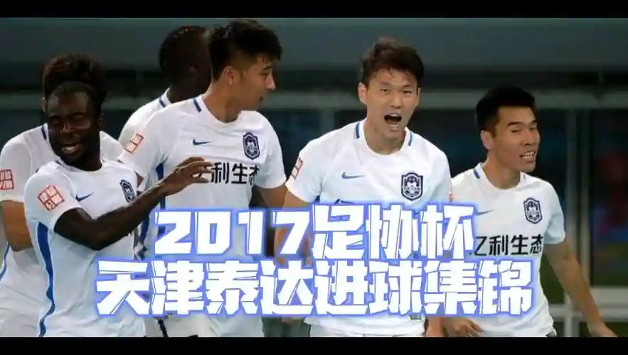 泰达阵容2017插图