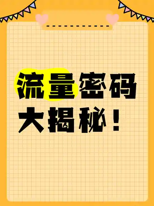 流量密码阵容插图