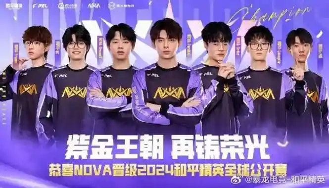 nv新阵容