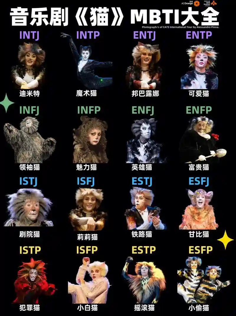 cat同样阵容插图