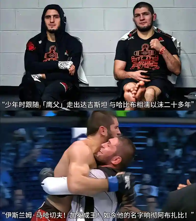 ufc小鹰阵容插图1