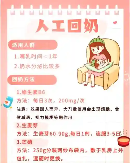 回奶阵容