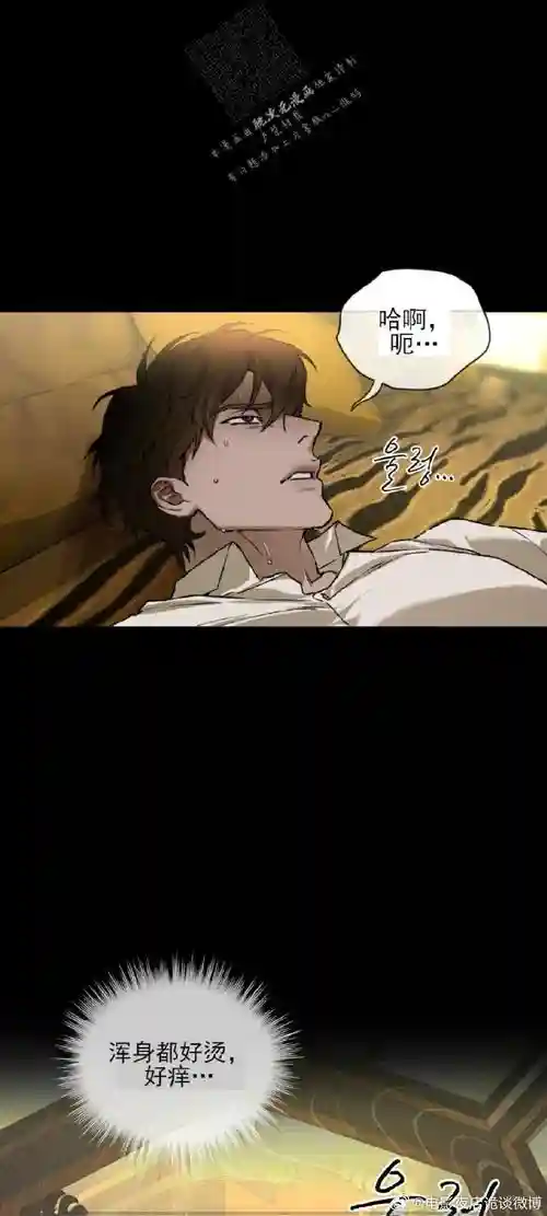 前兆破坏者攻略_1插图