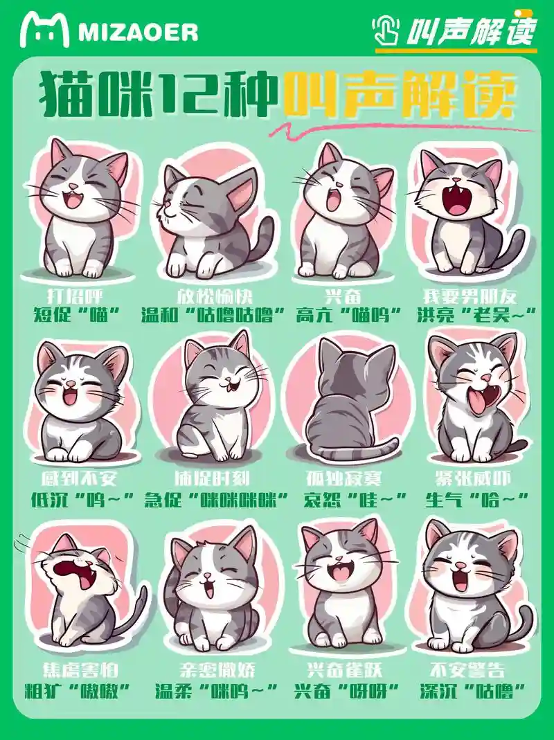 尖叫吧喵星人攻略插图1
