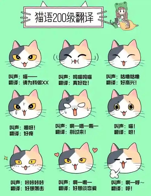 尖叫吧喵星人攻略插图