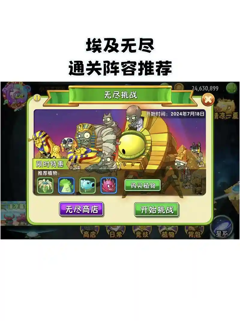 pvz正版阵容
