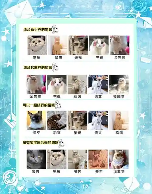 养猫阵容搭配_1插图