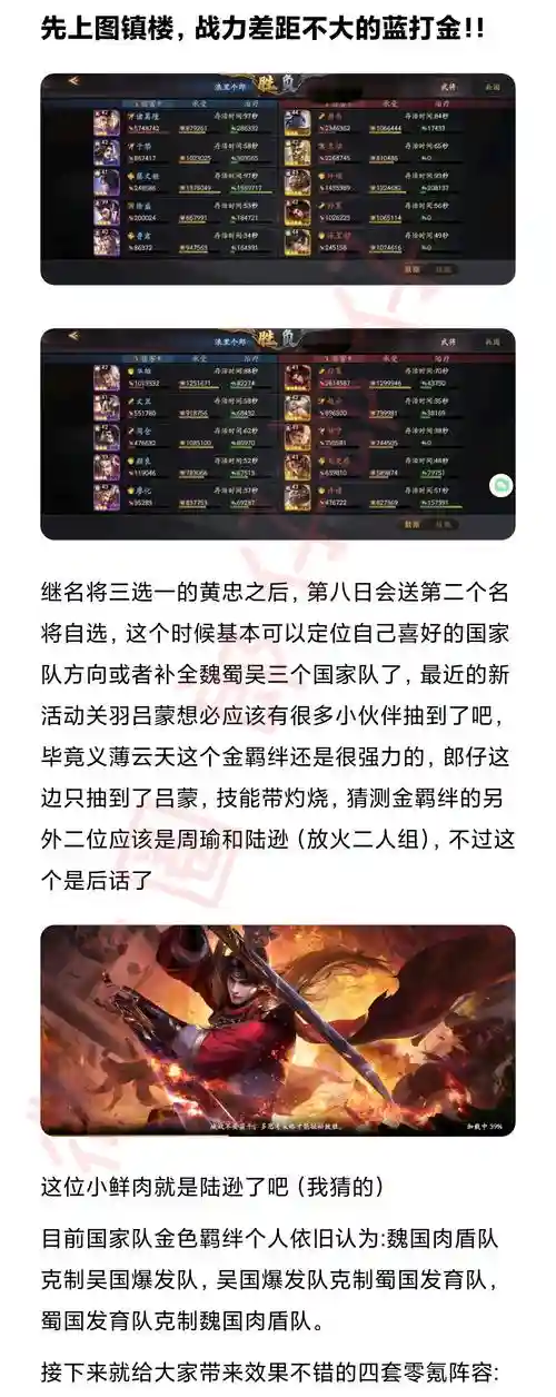 阵容豹文