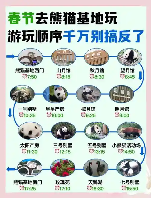 帮助熊猫逃离图解攻略，帮助熊猫逃离图解攻略视频插图