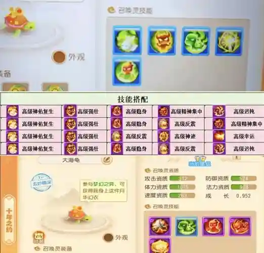 乌龟人阵容搭配，乌龟加点插图