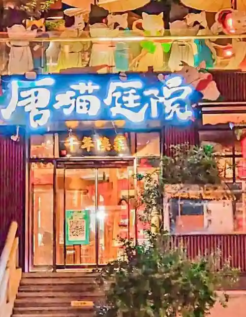 唐猫悬赏阵容速度搭配，唐猫庭院在哪