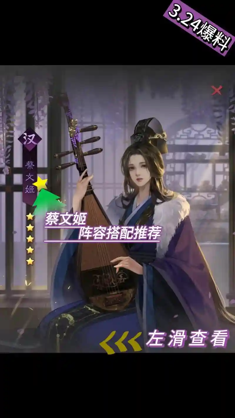 袁术贾诩蔡文姬阵容搭配，袁术 蔡文姬插图1