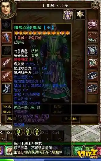 征途土豪玩家装备，征途最牛玩家装备图插图1